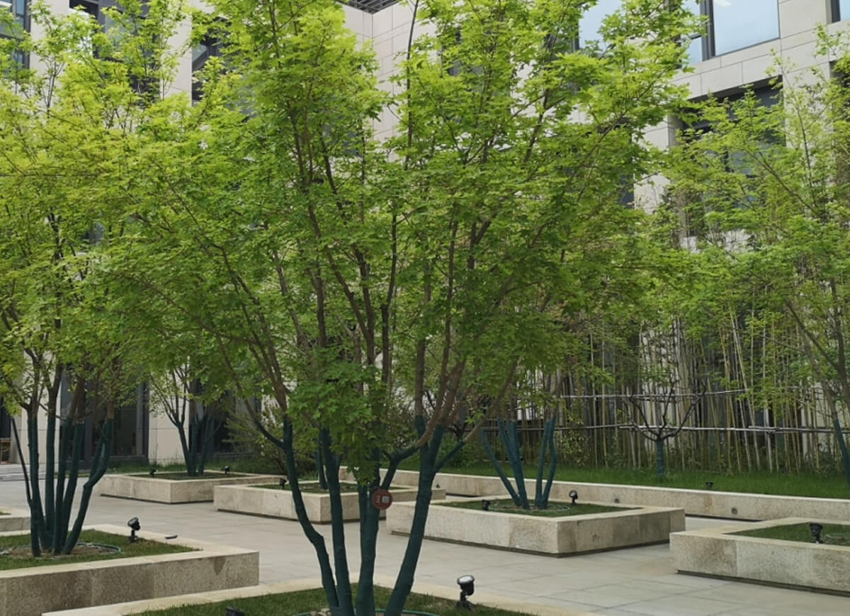 雀魂·(majsoul)官方网站