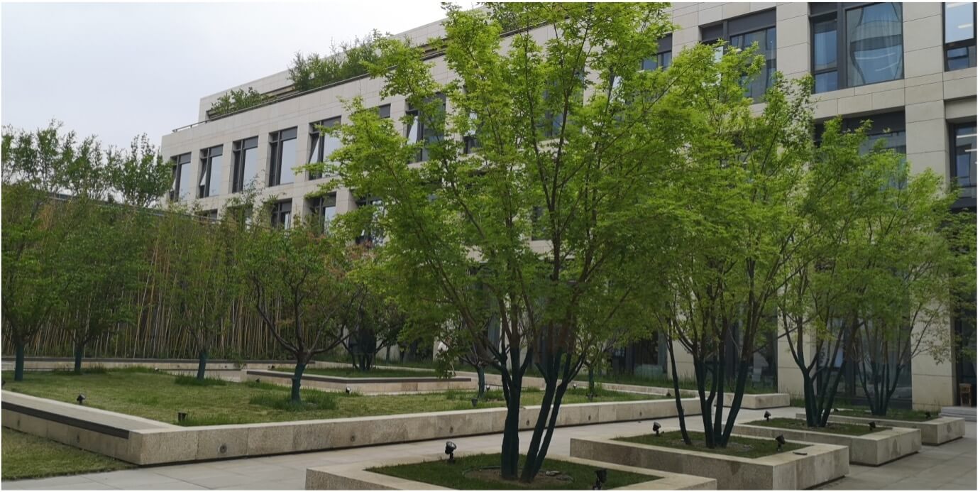 雀魂·(majsoul)官方网站