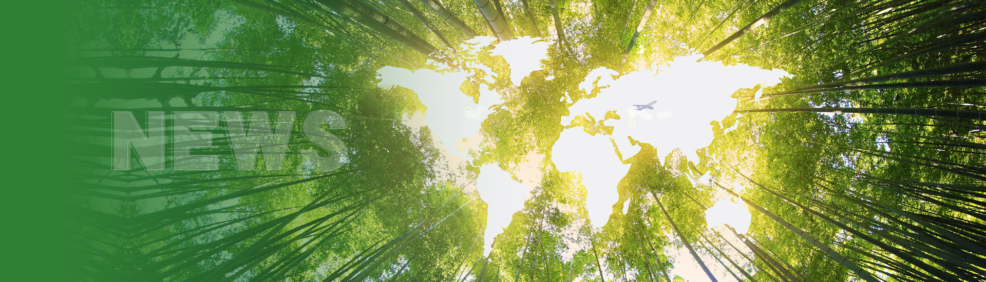 雀魂·(majsoul)官方网站